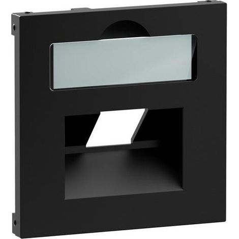 Legrand ABD.1X RJ45 F.DATENDOSEN FREMD (765358 SEANO)