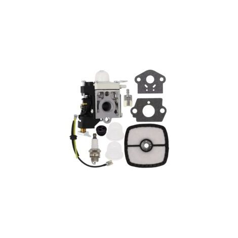 Kit carburatore RB-K106 con filtro aria e candela per ventilatore portatile Echo ES-250 PB-250 PB-250LN A021003661 / A021003660 (1/5)