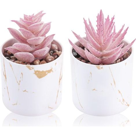 Lot de 2 mini plantes succulentes artificielles pour la maison, le bureau, les accessoires de bureau pour femme (1/5)