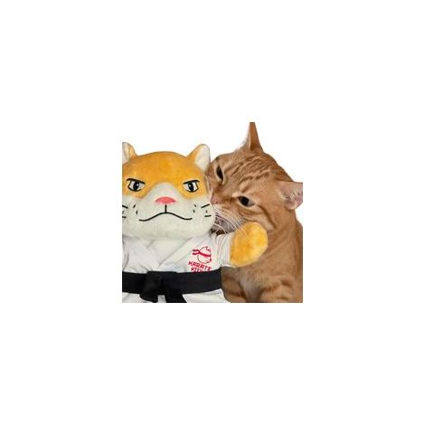 Katzenpuppe mit Armstulpe – Box- und Armdrückhandschuh für Katzen mit realistischen Bewegungen, Katzenminze-Tasche und Knisterohren – Crezuo