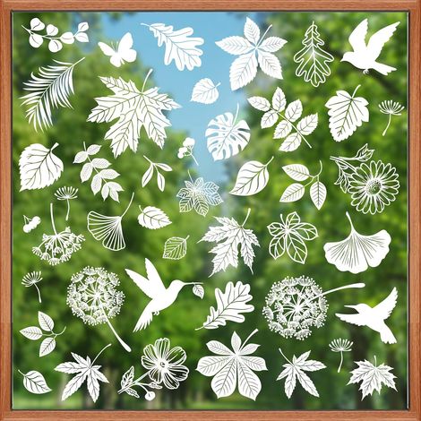 Autocollants Fenêtre Feuille Blanches Stickers Plante Pissenlits (1/5)