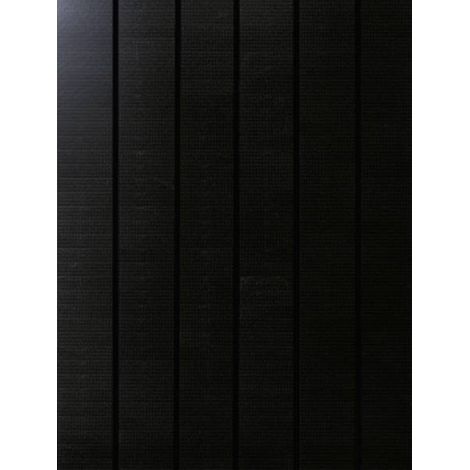 Phaesun Sun Pearl 150 Pannello solare monocristallino 150 Wp 12 V (1/2)