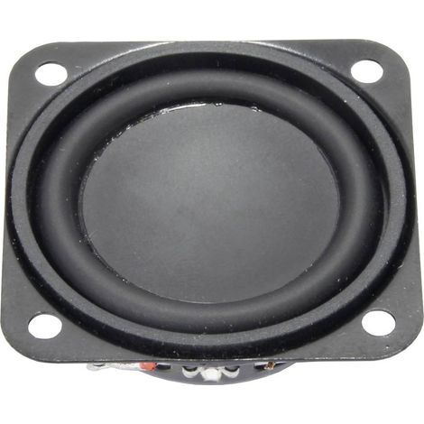 Visaton FRWS 4 ND - 8 Ohm 1.6 pouces 4 cm Haut-parleur large bande 2 W 8 Ω noir
