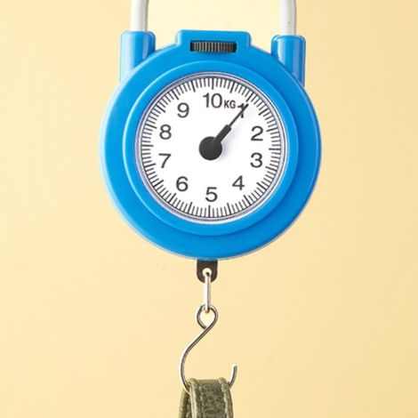 Pèse-personne légère et portable à suspendre avec crochet en métal, haute balance numérique pour aliments, bagages et usage quotidien, jaune ou bleu (1/5)