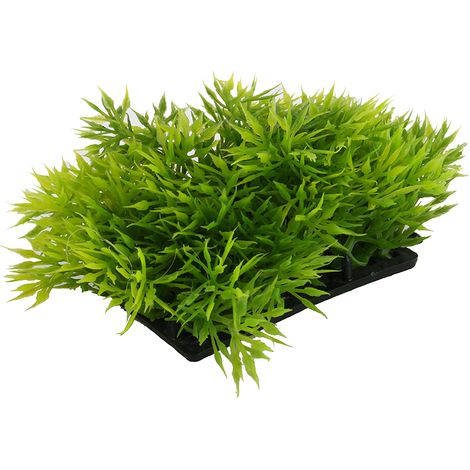 Petit bouquet de piquants en plastique avec socle pour décoration intérieure (1/5)