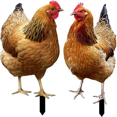 Lot de 2 piquets de jardin en forme de poule-Décoration en acrylique-Pour jardin,pelouse