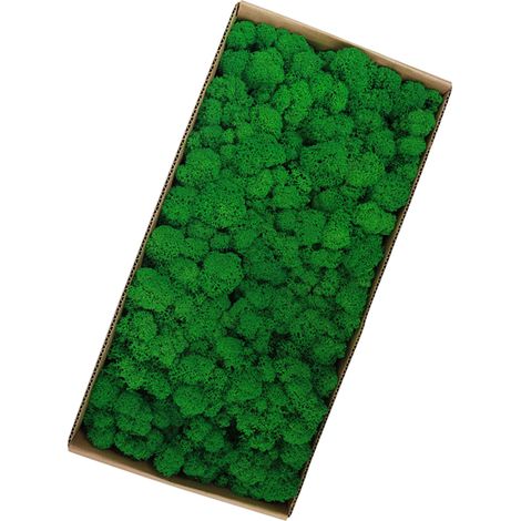 500 g de musgo decorativo estabilizado para arte vegetal, paredes, terrarios y jardines en miniatura. (1/5)