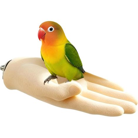 Percha de entrenamiento para loros  Juguete interactivo para loros (1/5)