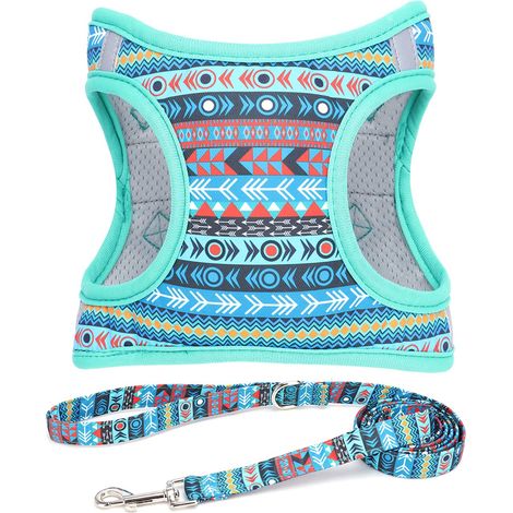 Step in Harnais et Laisse pour Chien - Fleur Harnais réfléchissant en Maille rembourrée sans Traction pour Chats Chiots Extra-Petits Petits Moyens et Grands Chiens-XXS (1/5)