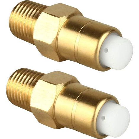 Lot de 2 soupapes de décharge thermique pour pompe de nettoyeur haute pression, soupape de décharge thermique 1/4 po NPT (1/5)
