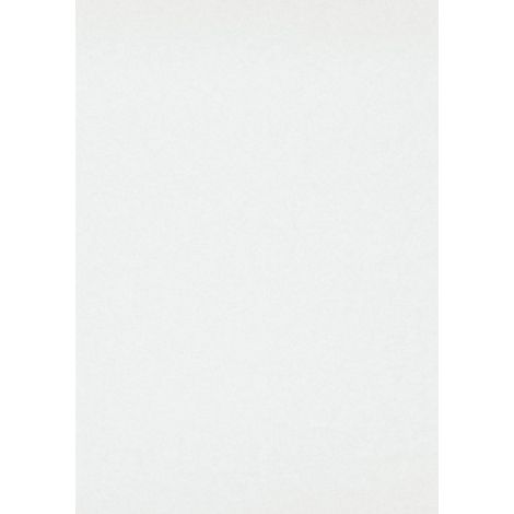 Erismann Glatte Wand Profi-Vlies weiß 25 x 0,75 m Wandtapete