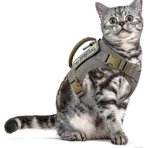 Taktisches Katzengeschirr mit Leine zum Spazierengehen, ausbruchsicheres, weiches und verstellbares Hundegeschirr für große Katzen, atmungsaktives Netzgewebe für kleine Hunde (1/5)