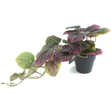 35cm Artificial Trailing Purple Potted Pothos Plant (1/5)