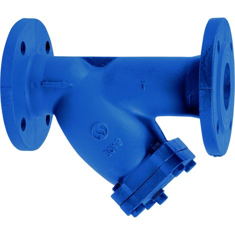 Filtre à tamis en Y Fonte à brides DIN F1 - Bleu - Série 221 Ø25