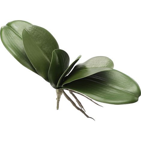 EVA-Simulationsblätter der Phalaenopsis-Orchidee, künstliche Blätter mit realistischer Haptik, Latex-Cymbidium-Stängel für Blumenarrangements und Topfdekoration (Z) (1/5)