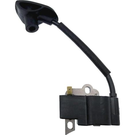 Module d'allumage Résine Haute Durabilité pour BR600 (1/2)