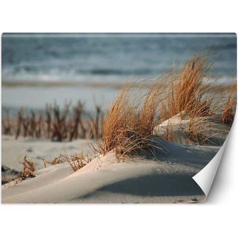 Papier peint dunes sur la mer baltique - 150 x 105 cm (1/4)