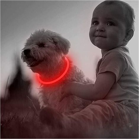 Wiederaufladbares LED-Hundehalsband mit USB-Anschluss für mehr Sicherheit bei Nacht – Trendiges Leuchthalsband für kleine, mittlere und große Hunde (1 Stück, Rot, 50,8 cm) (1/5)