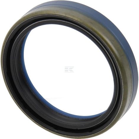 Ring LANDINI 3015548X1 (1/2)