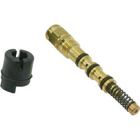 Kit pompa olio motosega Alpina PR350, P34 originale