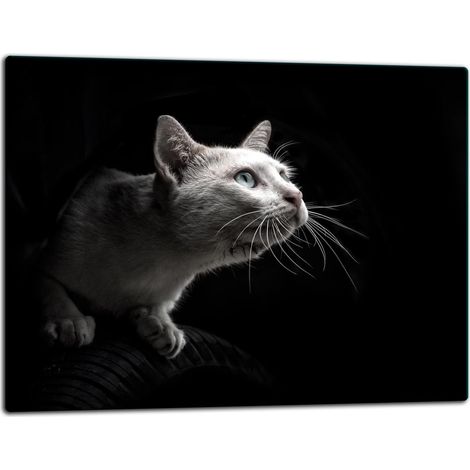 Planche à découper en verre 52x40 CAT (1/5)