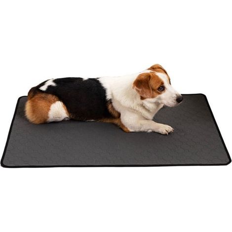 1 confezione di tappetini assorbenti lavabili per cuccioli, tappetini riutilizzabili per l'addestramento dei cani, super assorbenti, impermeabili, ad asciugatura rapida e antiscivolo. (1/5)