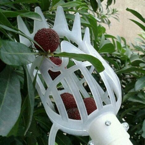 QORVA-Tête de cueillette de fruits en plastique, panier profond, cueilleur de fruits, cueilleur de pommes et de pêches, ferme, jardin, dispositif de cueillette en plastique, République tchèque, (Blanc (1/3)