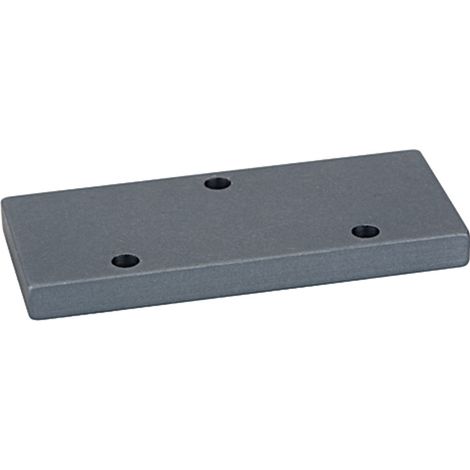 Riegler Abdeckplatte für Grundplatte G 3/8 für Anschlussfläche G 1/4 (1/2)