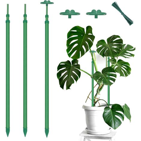 Bardusch-Supports extensibles pour plantes, tuteurs avec pinces, adaptés aux plantes d'intérieur et d'extérieur, plantes de jardin, tomates, légumes - Lot de 3 (1/5)