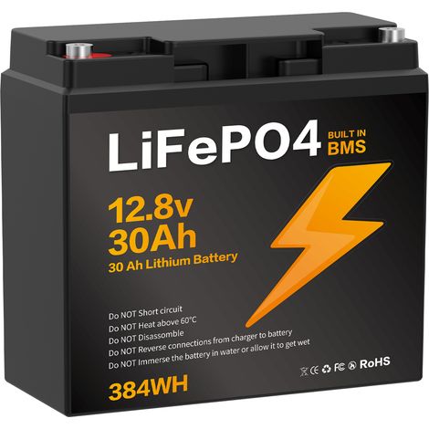 Batterie Lithium 12V 30Ah LiFePO4 - BMS intégré, IP67, rechargeable - Idéale pour camping-car, bateau, système solaire - BZ0037-LFPTS-30Ah (1/4)