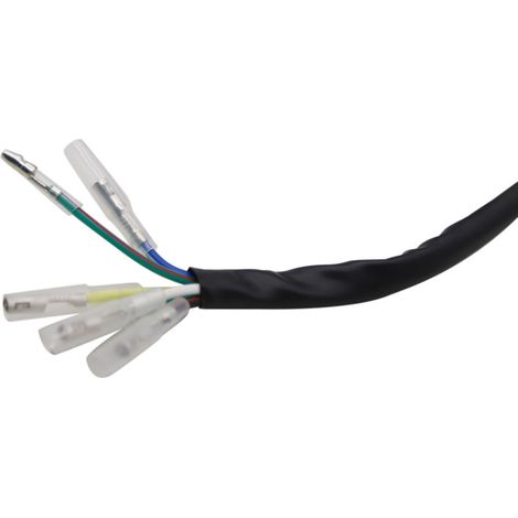 Statore magnetico per motore orizzontale da moto fuoristrada con avviamento rapido: 49cc, 50cc, 70cc, 90cc, 110cc, 125cc