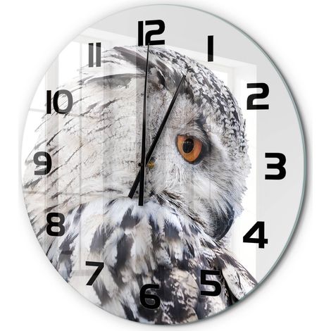 Horloge Murale Ronde en Verre Silencieuse Sans Tic-Tac Salon Cuisine Chambre Hibou blanc fi 60 cm (1/5)