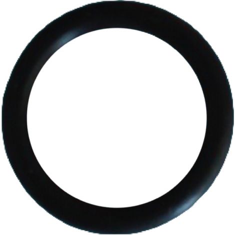 Joint torique de cuve pour filtre à cartouche de piscine - Noir - CX900H - Hayward