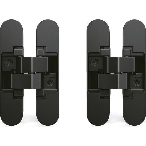Set mit 2 Kastenscharnieren für Tore, Tragkraft 40 kg, Öffnungswinkel 180°, Zamak, Schwarz (1/4)