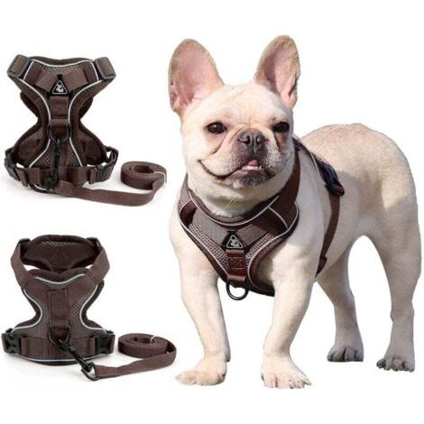 QORVA-Harnais pour chien de petite et moyenne taille (marron L)-Fei Yu