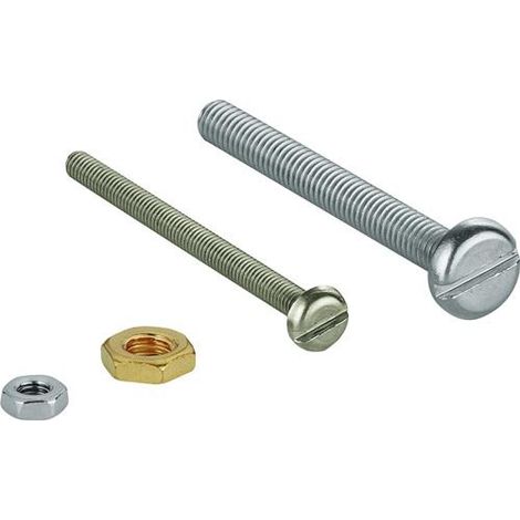 Befestigungsstift 43022 komplett für Fußventil