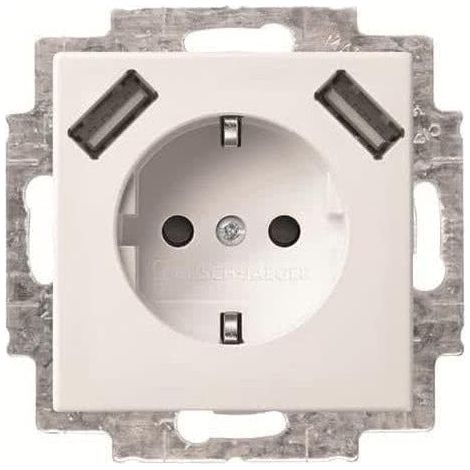 BUSCH-JAEGER 20 EUCB2USB-914 SCHUKO USB-STECKDOSE, 2-FACH, ALPINWEI (2CKA002011A6266)