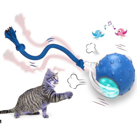 Palla interattiva per gatti da interno, rotola velocemente sul tappeto, cinguetta e si attiva tramite movimento (blu)