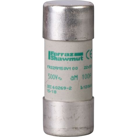 TeSys DF - cartouche fusible NFC 22x58mm cylindrique - aM 125A - sans voyant - DF2FA125