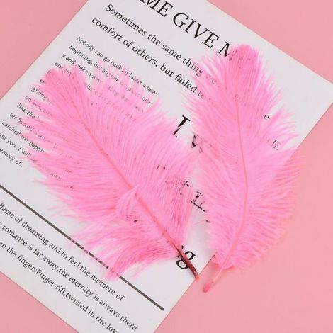 12 plumes autruche - 20-25 cm - Rose - Mariage - Noël - Déco Dupcheliry (1/5)