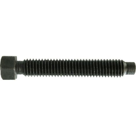 Reidl DIN 561 Sechskantschraube mit Zapfen Form A 30x60 8.8 blank (1/3)