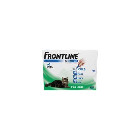 FRONTLINE Spot On Cat - 6 pipettes - 6s - 341915