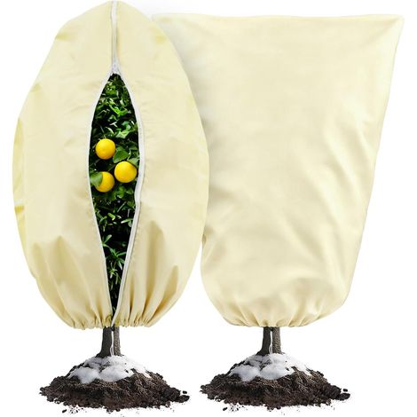 Sacs de Protection Hivernale 80x120 cm (Beige) - Duo de Housses Respirantes à Zip & Cordon pour Arbustes (1/5)