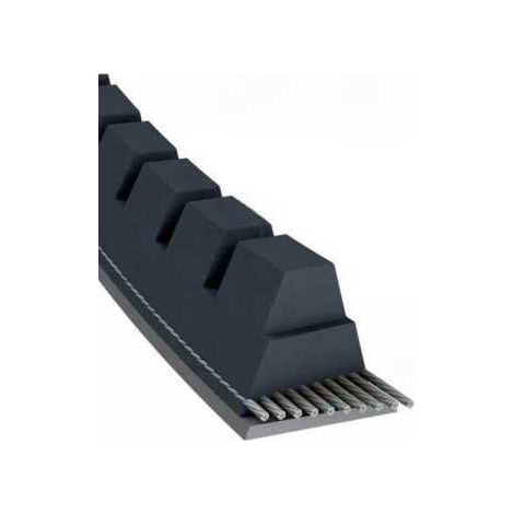 Courroie tondeuse XPZ925 trapézoïdale crantée  9,7 x 937 mm (1/5)