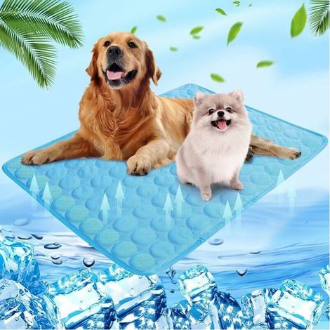 Cooling mat 55 x 70 cm for dogs and cats – Self-cooling – Washable – Waterproof – Non-slip – Comfortable – Blue (1/5)