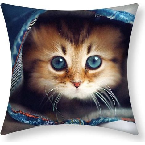Housse de coussin - AVIZAR - Motif Chaton - 40x40 cm - Multicolore - Synthétique (1/5)