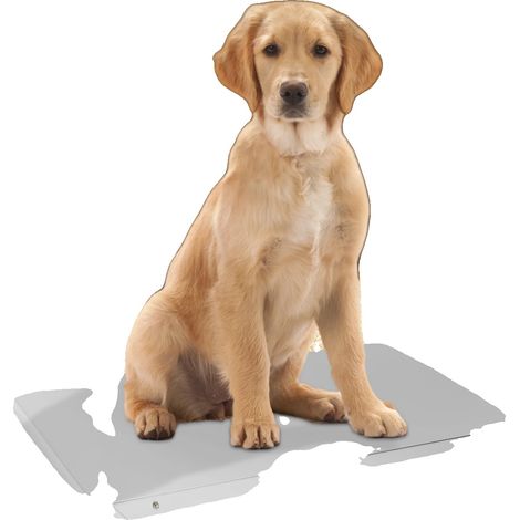 Bilancia digitale per animali domestici, capacità 300 kg, doppia modalità di pesatura, design intuitivo. (1/5)