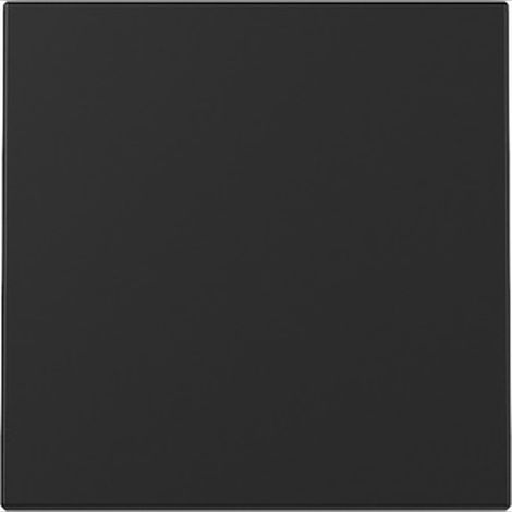 Gira WIPPE SYSTEM 55 SCHWARZ M (3296005 SYSTEM 55)