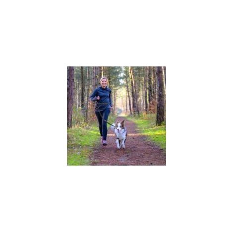 Jogginggeschirr mit Hüftgurt, freihändiges Geschirr mit Stretch und Rückenstütze für mittelgroße und große Hunde, freihändiges Laufen, Radfahren und andere Sportarten. (1/5)