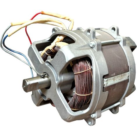 Ersatzmotor Elektromotor 230V 1,6kW 50Hz Motor für Elektro Schneefräse uvm. (1/3)